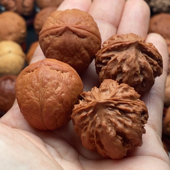 用***9核桃精品文玩核桃手捻元宝墩霸王龙