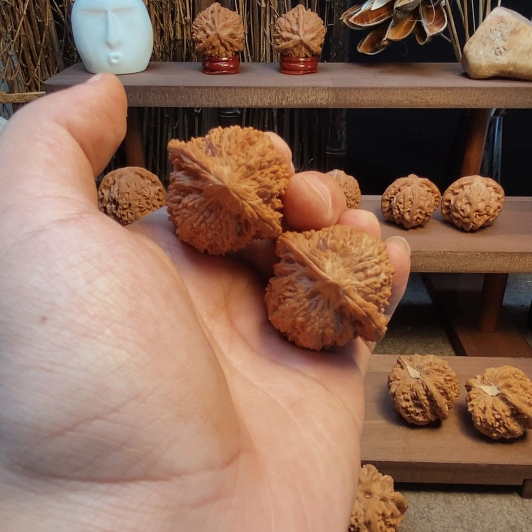 核桃手串/手链41全品满天星