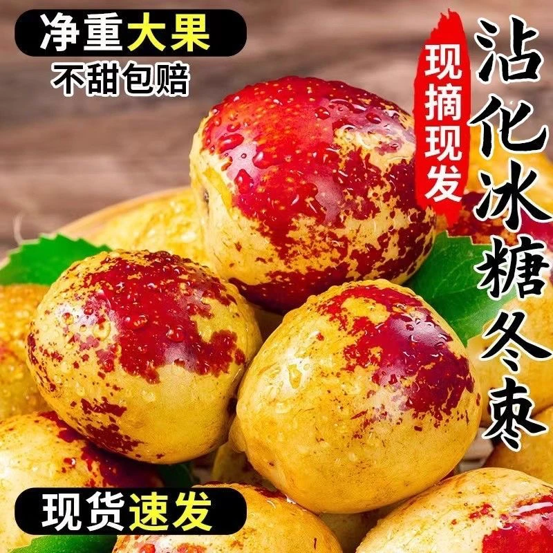 山东冬枣沾化冬枣新鲜脆甜冰糖大枣应季水果枣子批发新鲜当季脆甜