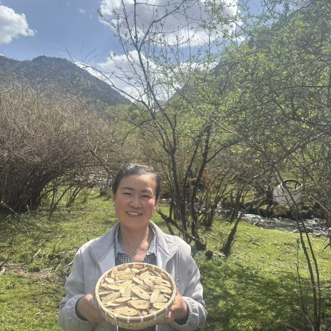 甘肃岷县精选《深山采挖老黄芪》品质高含量足