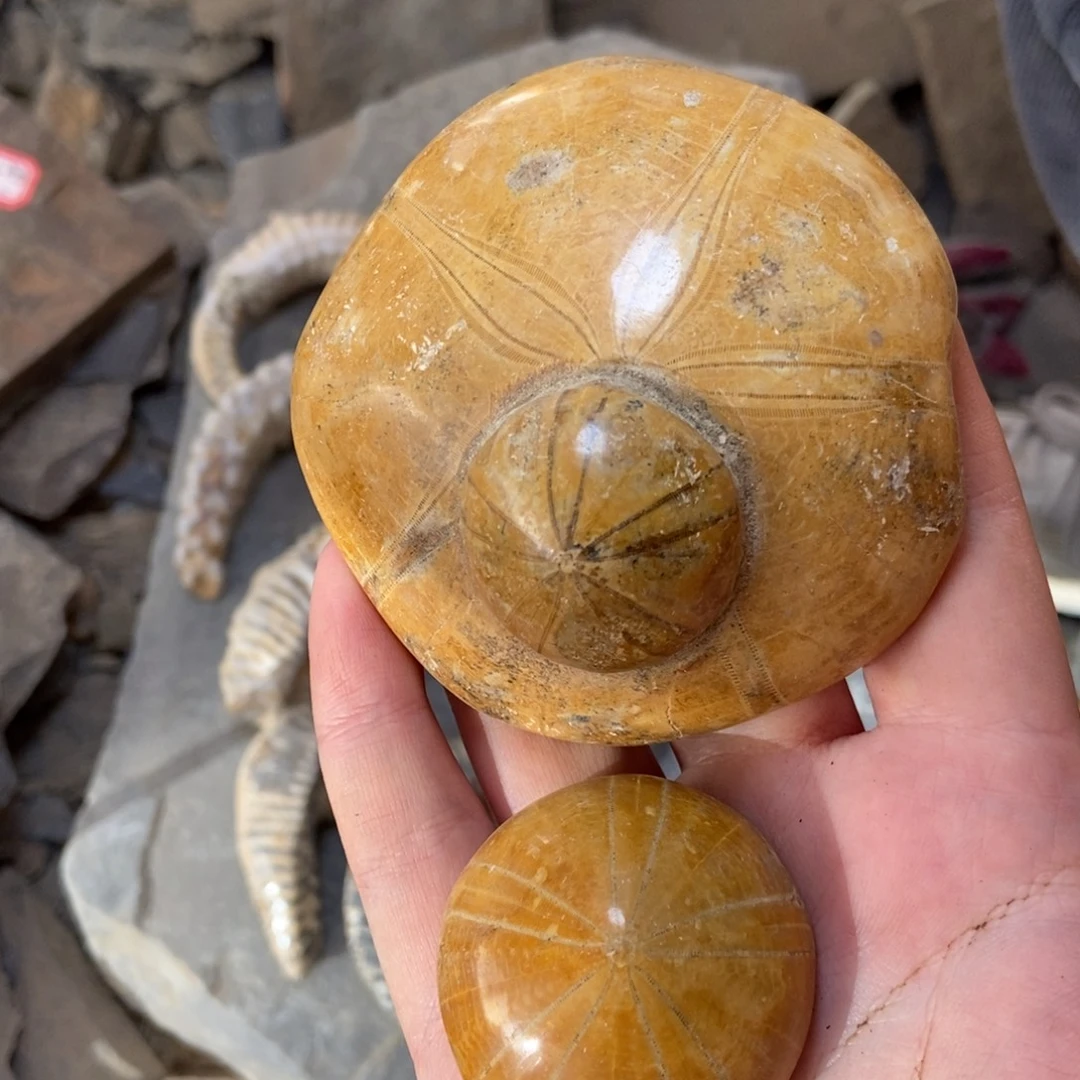 传***人石材11111111111111