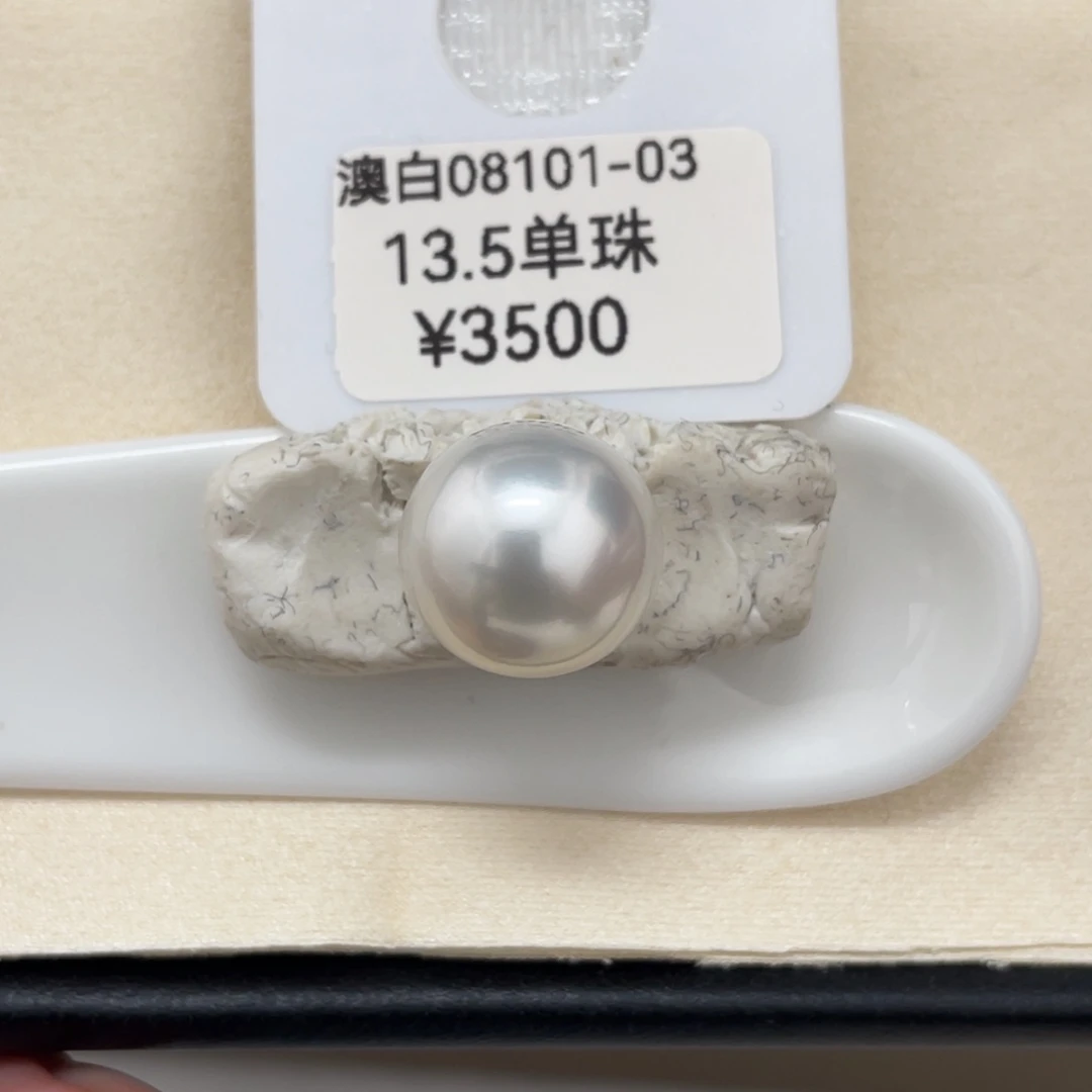 颈饰未镶嵌海水珍珠