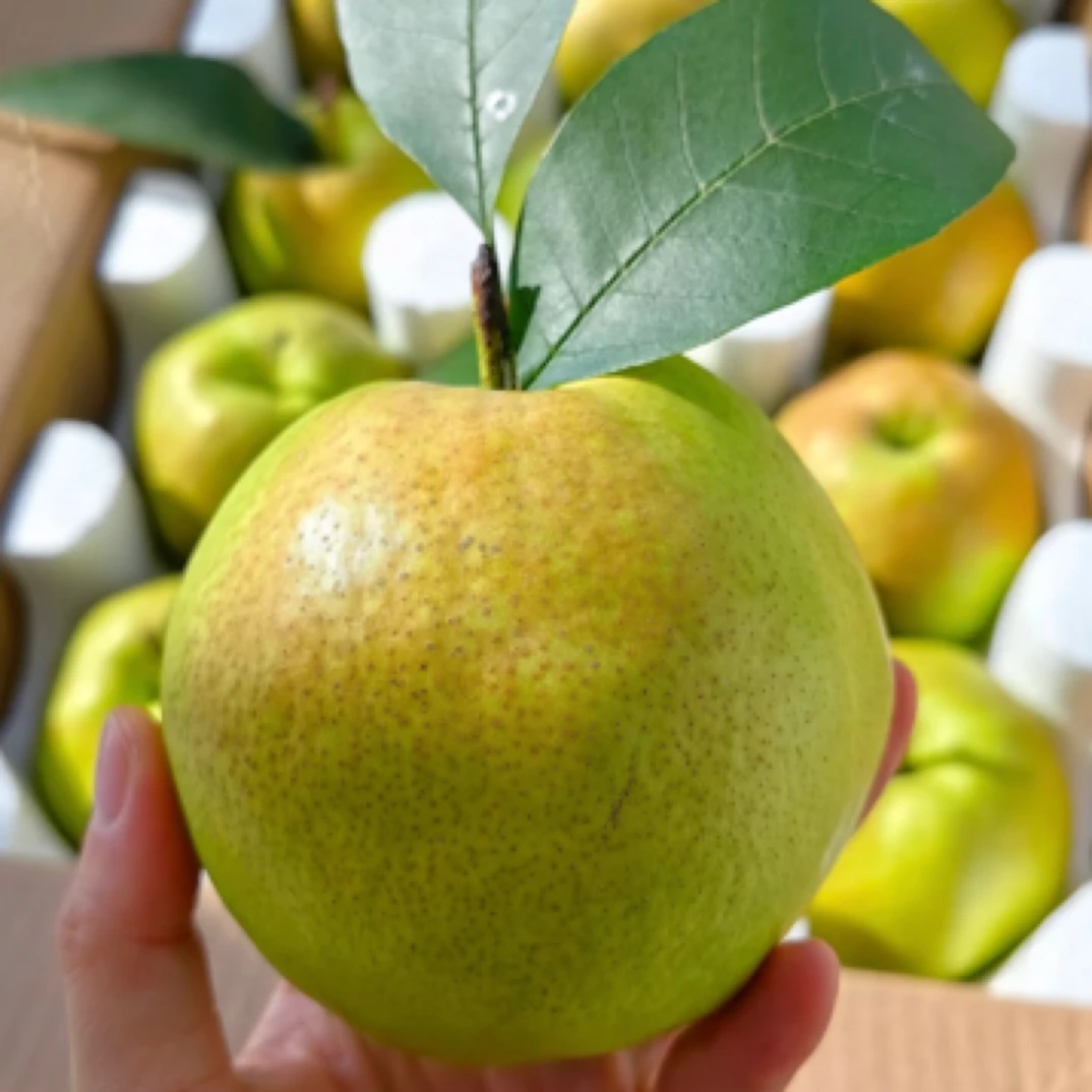 （配送到家）脆甜多汁玉露香梨2斤每份