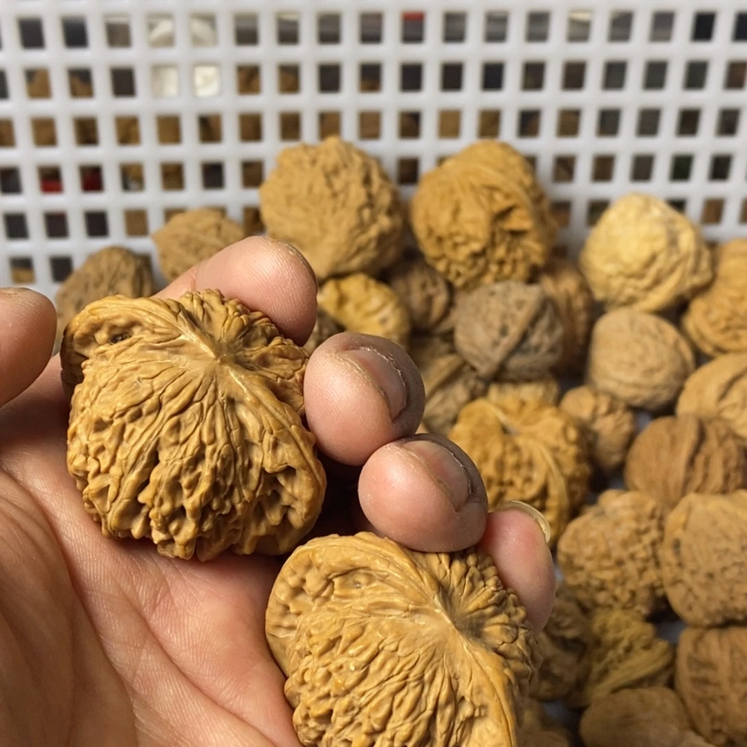 彭***大叶紫檀（黑酸枝木类）