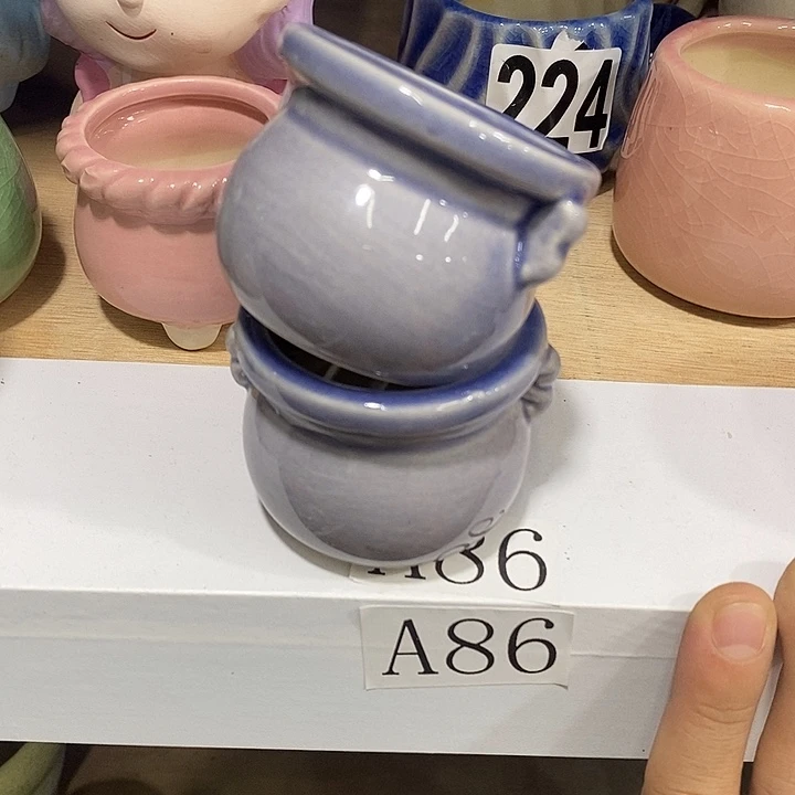 花盆抢购清货马上开始