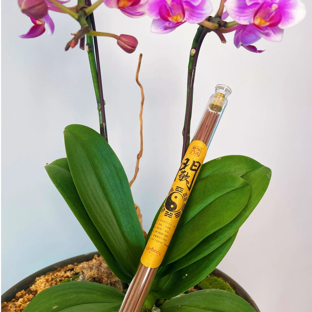 龙涎合香线香21cm*10g 奇门八门力量香~敬 家居香薰线香