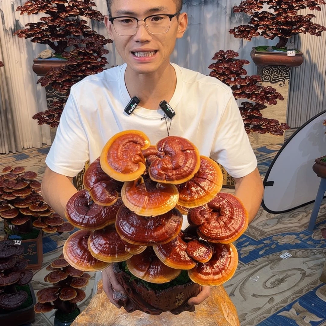 无花朵88888888888888