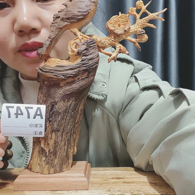 【闪购商品】告**海百年树的设计风格