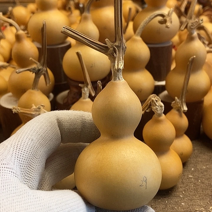 文玩葫芦 完美主义者 慎拍29