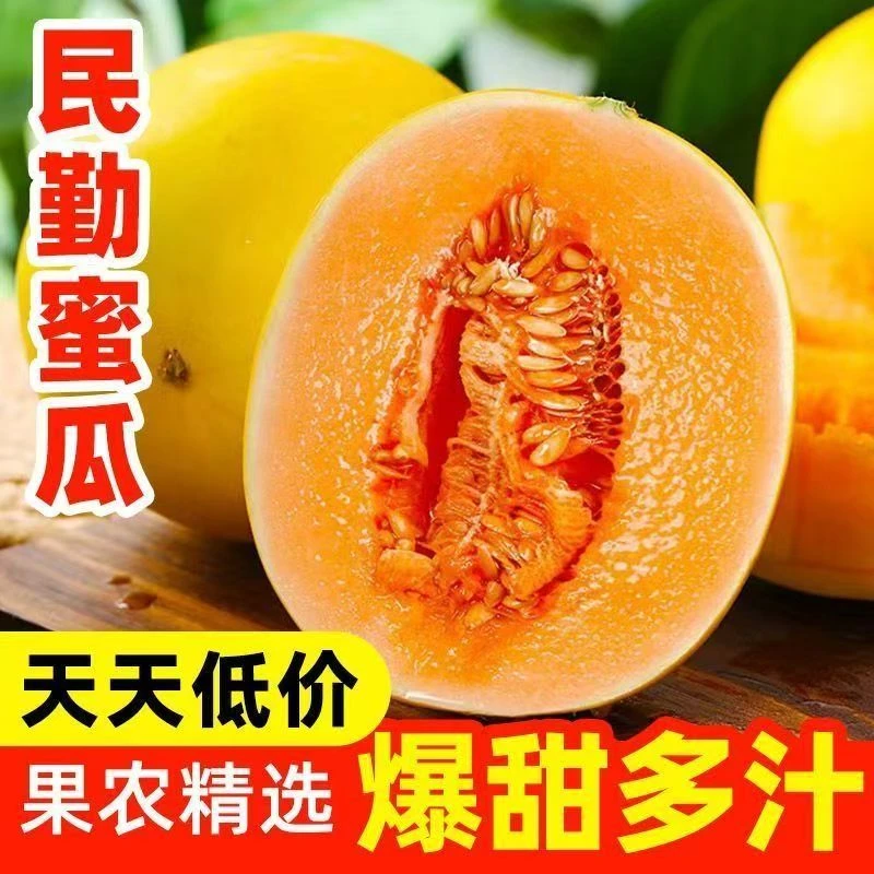 【精选头茬】甘肃民勤原产地直发新鲜多汁香甜黄河蜜甜瓜当季水果