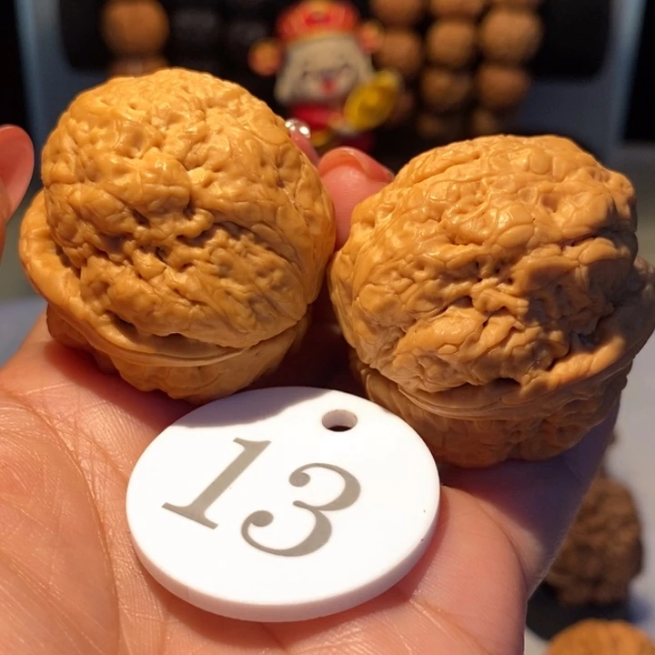 15号链接上古卧龙蟾43尺寸