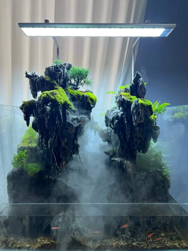 高端水陆缸成品景观