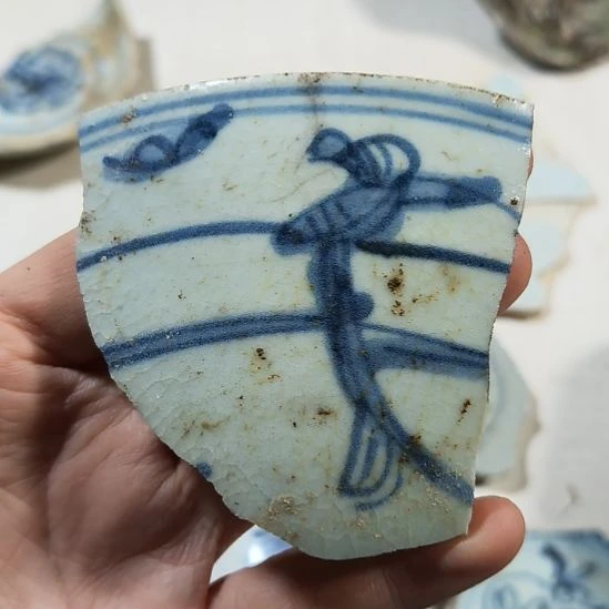 瓷片瓷片瓷片瓷片瓷片