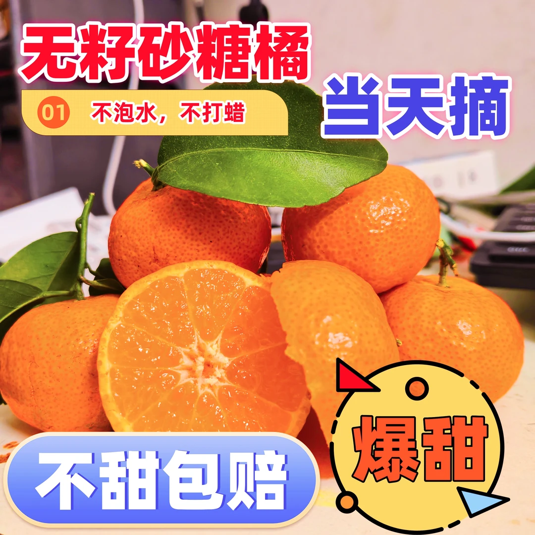 广东砂糖橘英德砂糖橘甜水份充足不打蜡沙糖桔北方可发