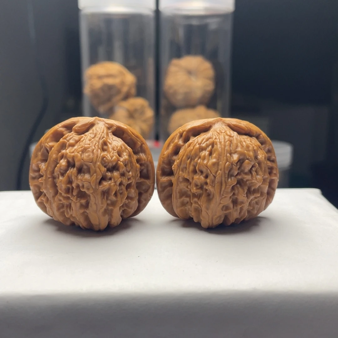 核桃精修白狮子40尺