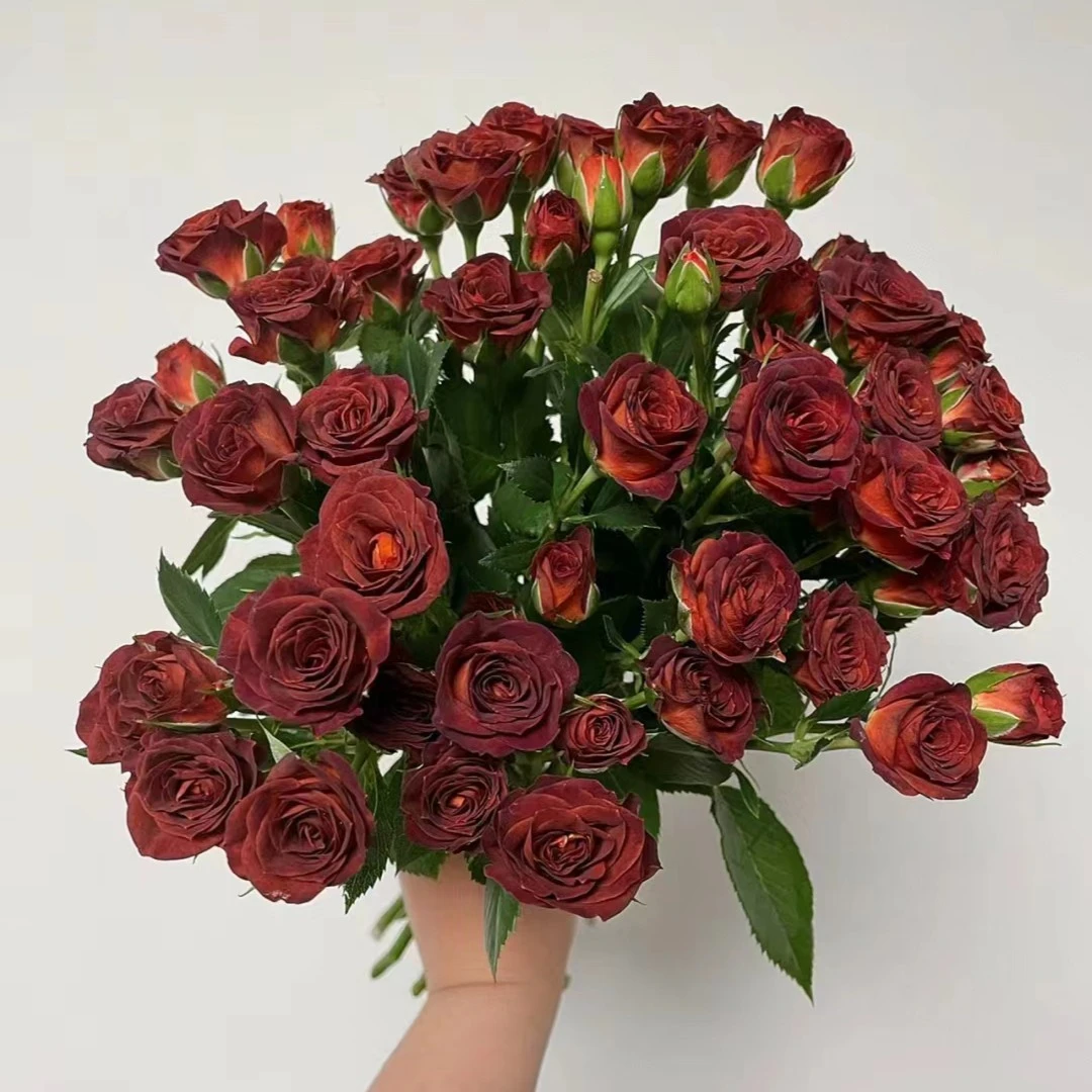 鲜花【巧克力泡泡】同地址两单京东或顺丰送货上门