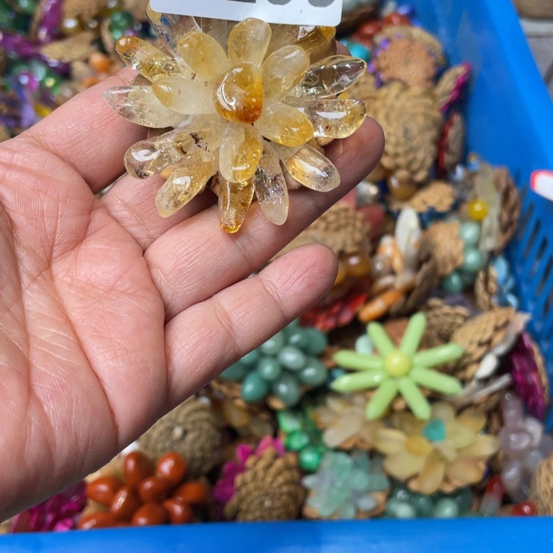 核桃木/黑胡桃（胡桃木）小**常299