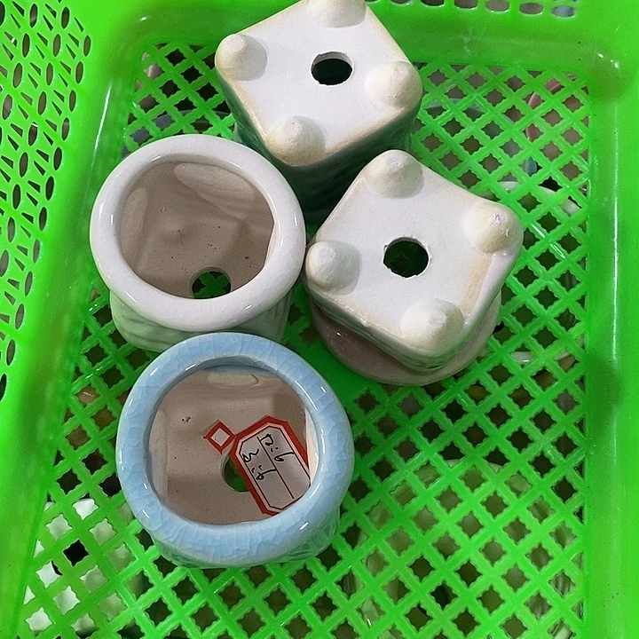 花盆抢购清货马上开始