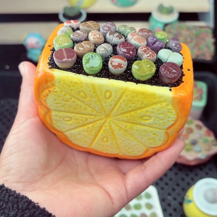 534零下地区记得拍保温箱满18包邮