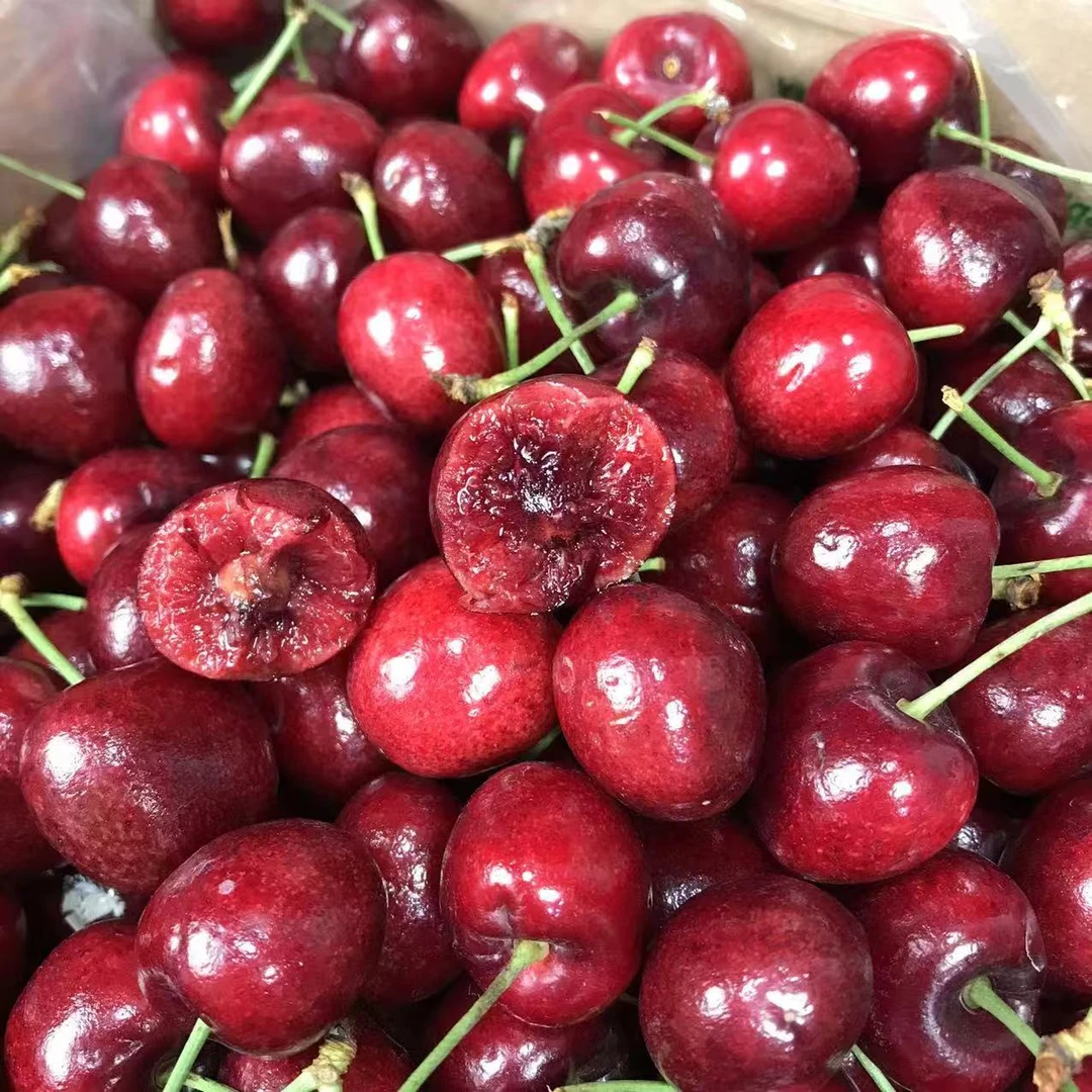 ZAZN海运车厘子单J5斤