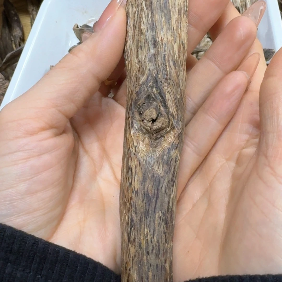 沉香沉香枕韩块料白奇树心油虫漏44克