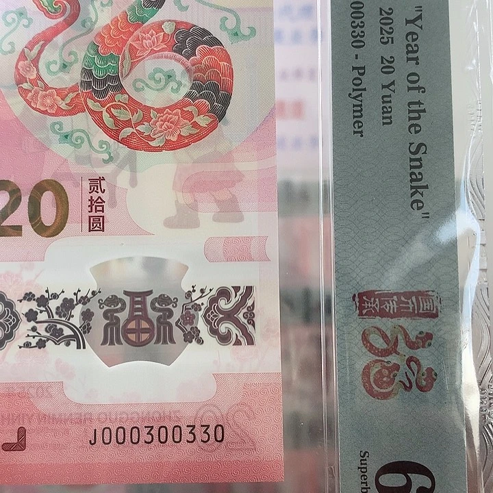 塑料小司令，蛇二03