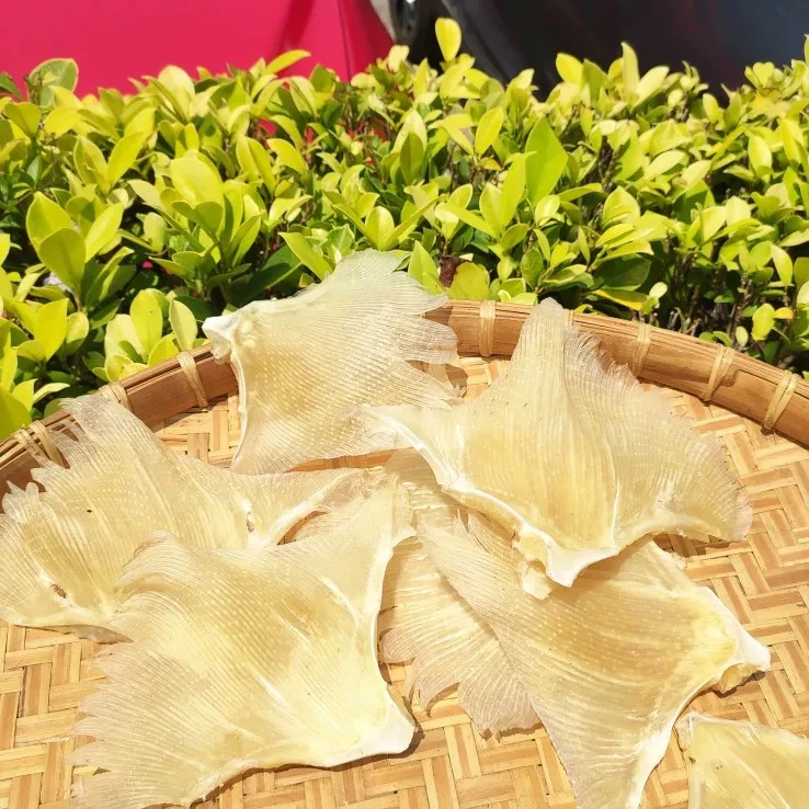 【广东年货节】北海特产鱼干翅