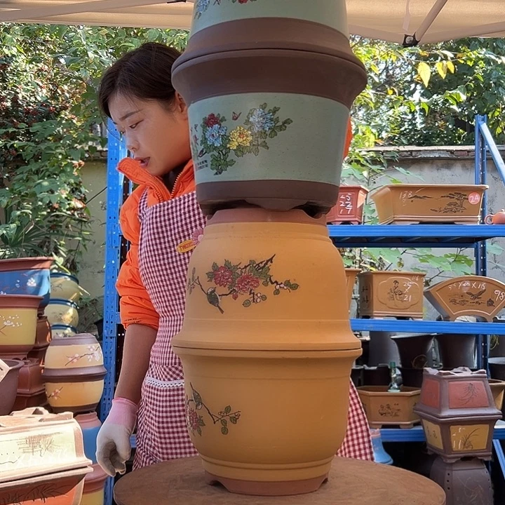 余***你黄色鸟语花香大5个+陈波绿金钟大5