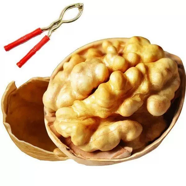 【净重2斤送核桃夹】新货阿克苏33生核桃农家自种非纸皮很香好吃