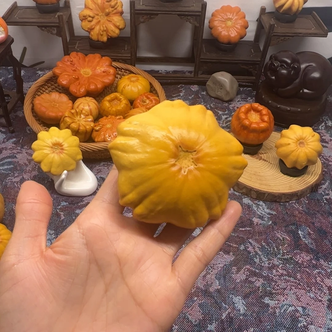 (***七葫芦墨西哥葫芦五角星
