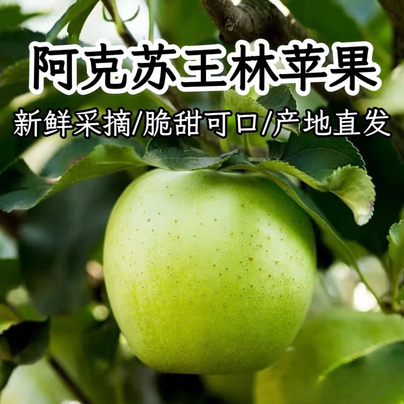 新疆阿克苏王林青苹果当季现摘清香脆爽多汁（两仓发货）