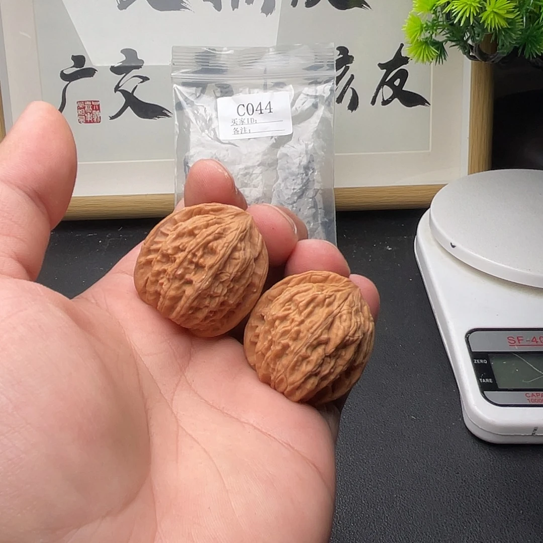 C044黄杆狮子头34尺有点磕碰