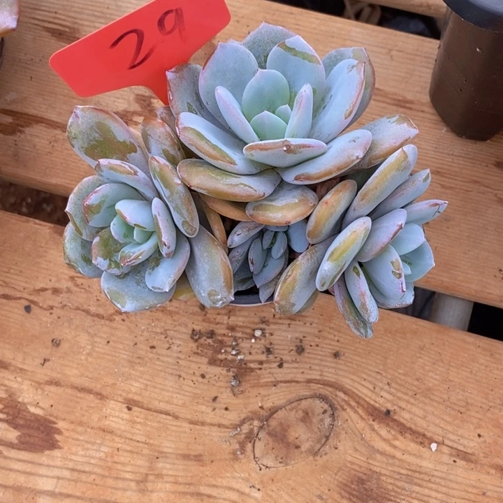 这个我都看出来这一