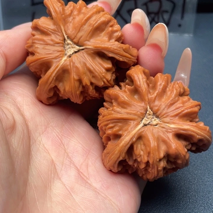 小***蛋文玩核桃吊坠白狮子