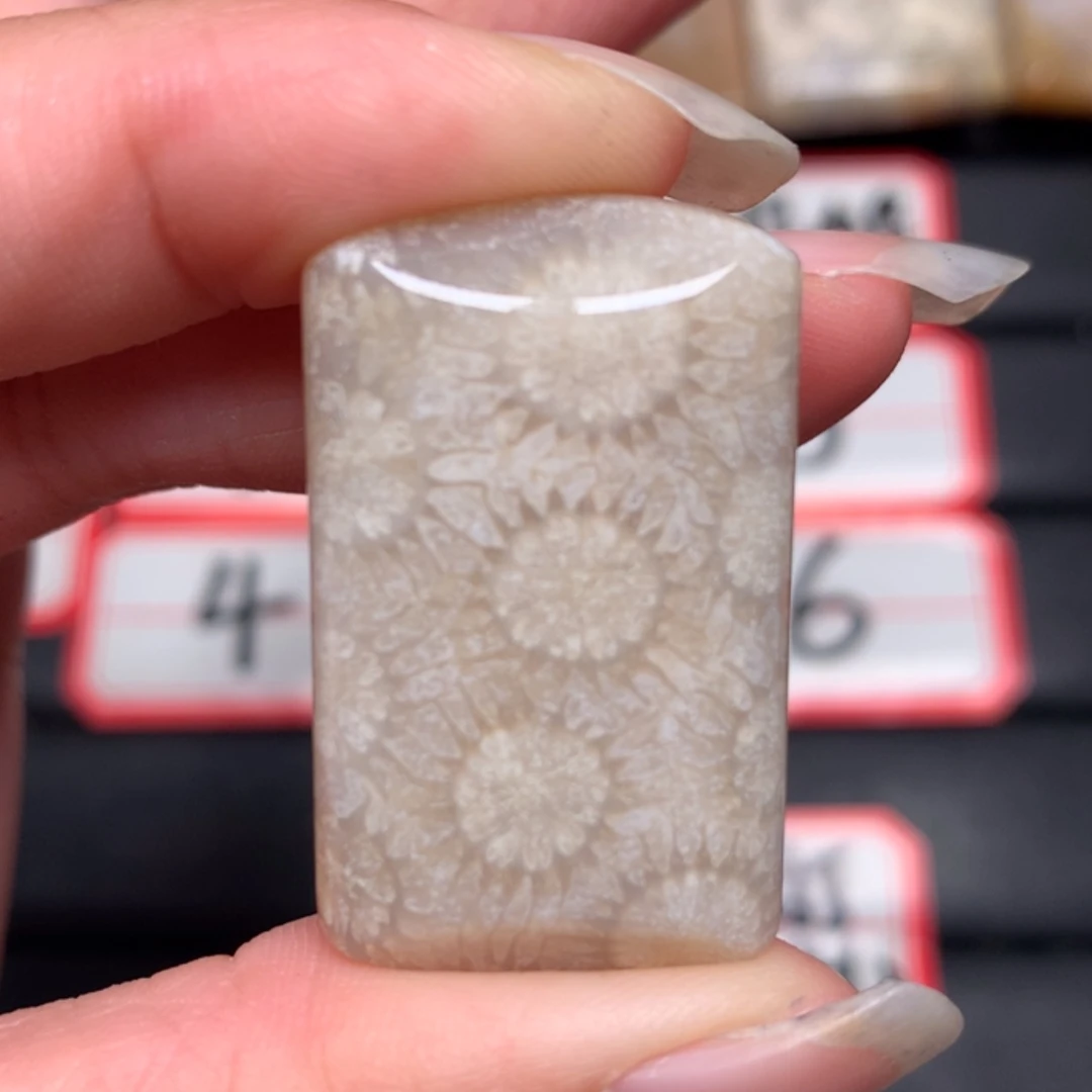 【闪购商品】硅化玉颈饰未镶嵌北*