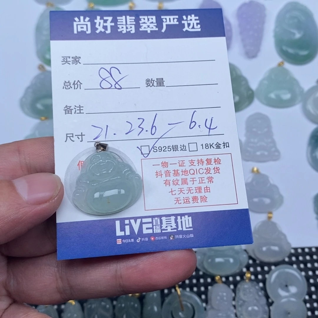 翡翠银S925镶嵌颈饰天然翡翠