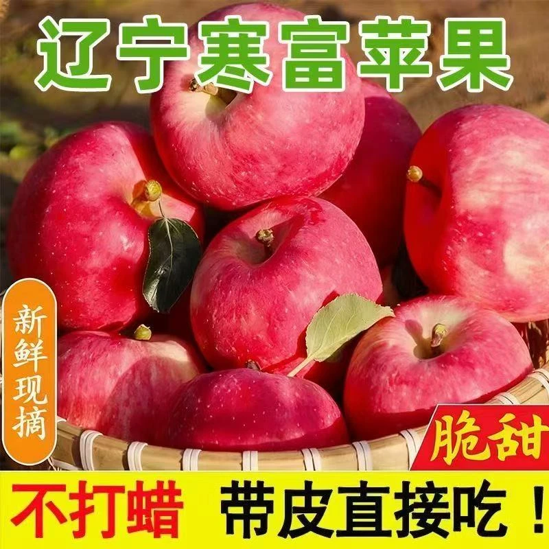 2025寒富苹果红富士新鲜采摘自然树熟现摘现卖产地直发