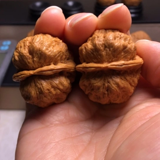 文玩核桃把件龙鳞舍利疙瘩包25