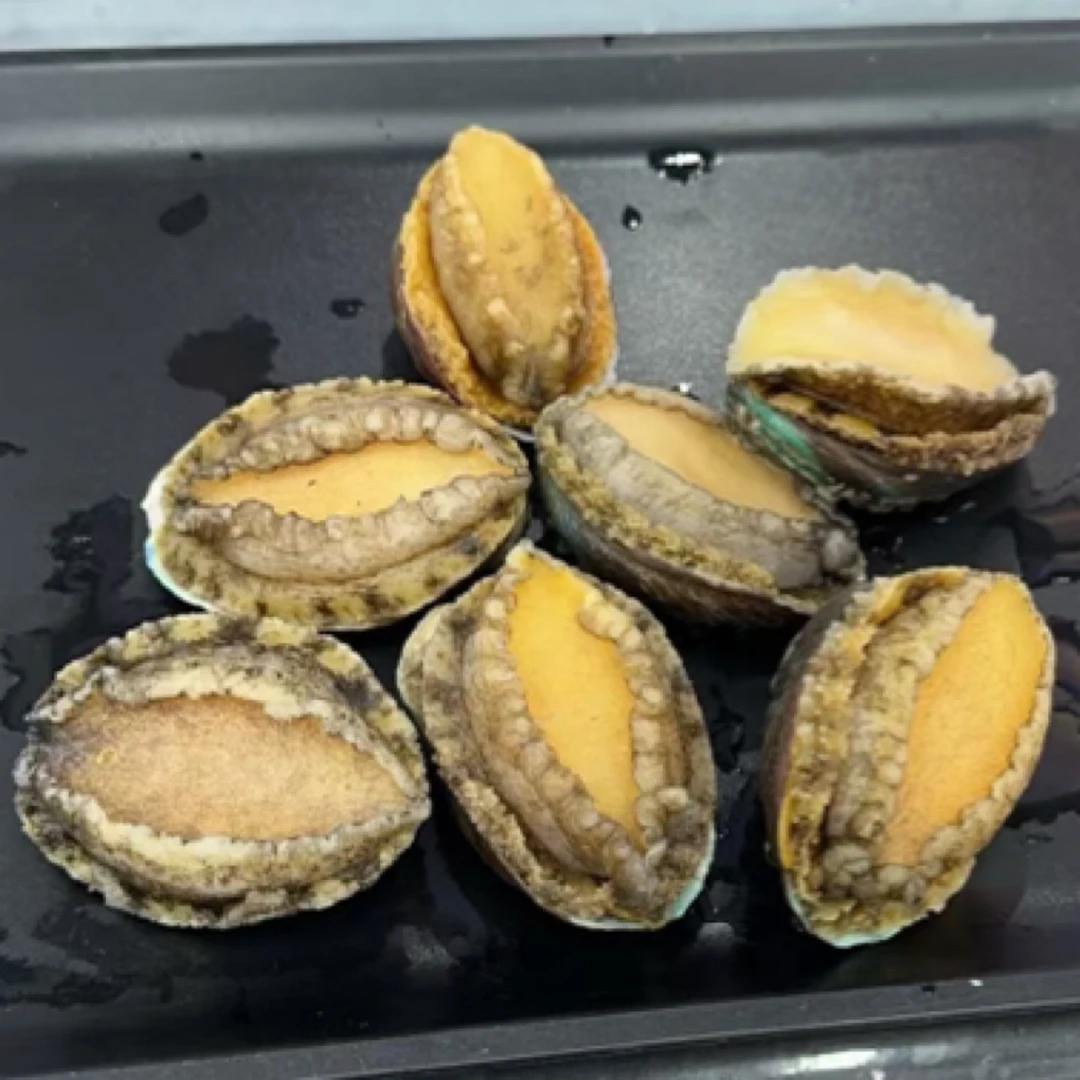 活冻鲍鱼，液氮冷冻，锁住新鲜，99元12～20只（约1Kg)