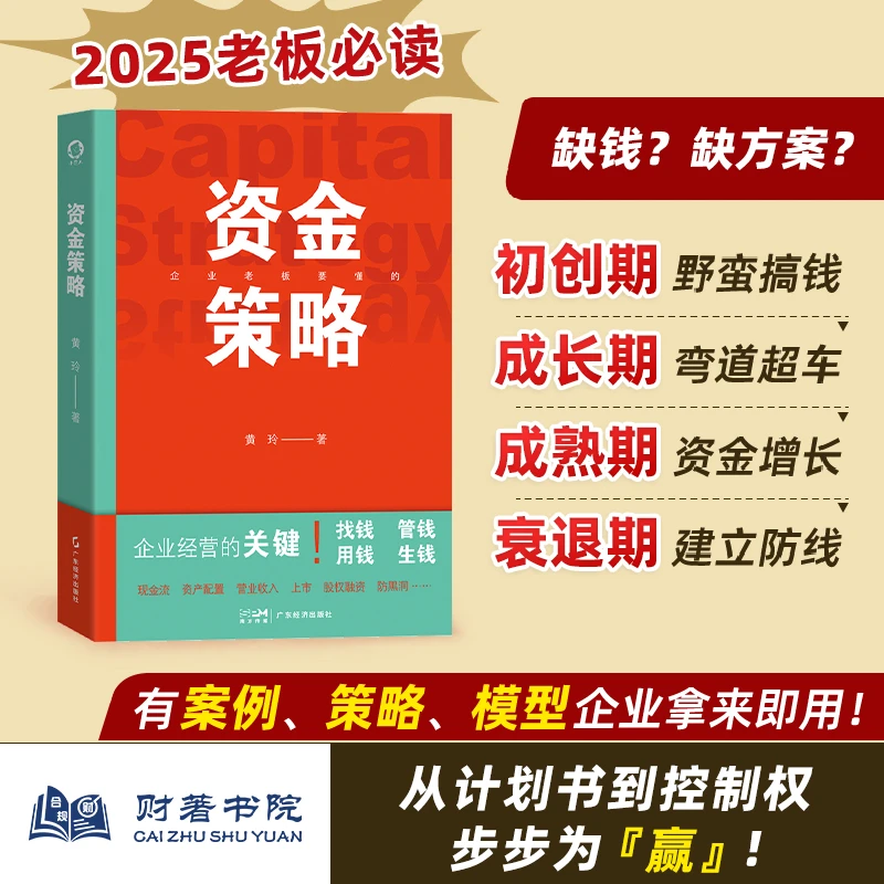 【新书】企业资金管理财税类图书 资金策略(融资思维)黄玲著