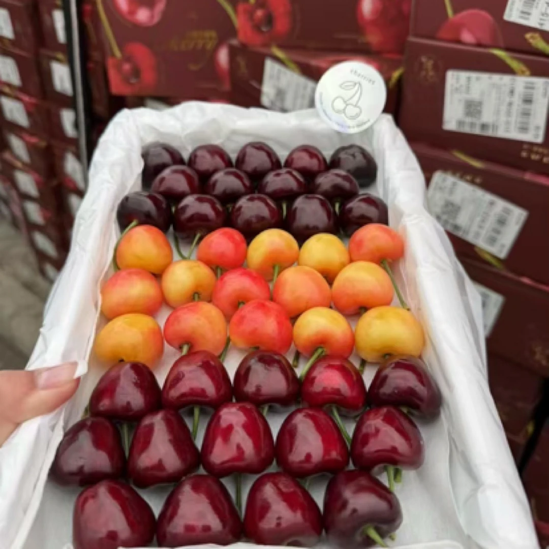 【轻奢】大连三拼四拼彩虹大樱桃大脆甜多汁顺丰空运内附果径卡