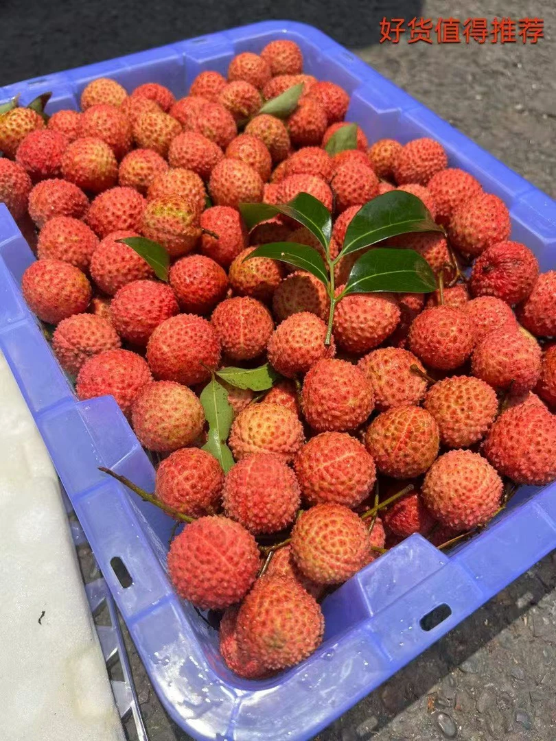 广东桂味儿荔枝 淡淡桂花香 果肉Q弹 汁水充足