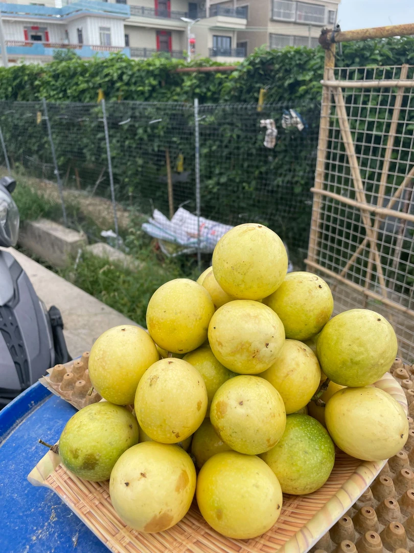 正宗广东钦蜜9号黄金百香果新鲜香甜多计营养丰富产地直发