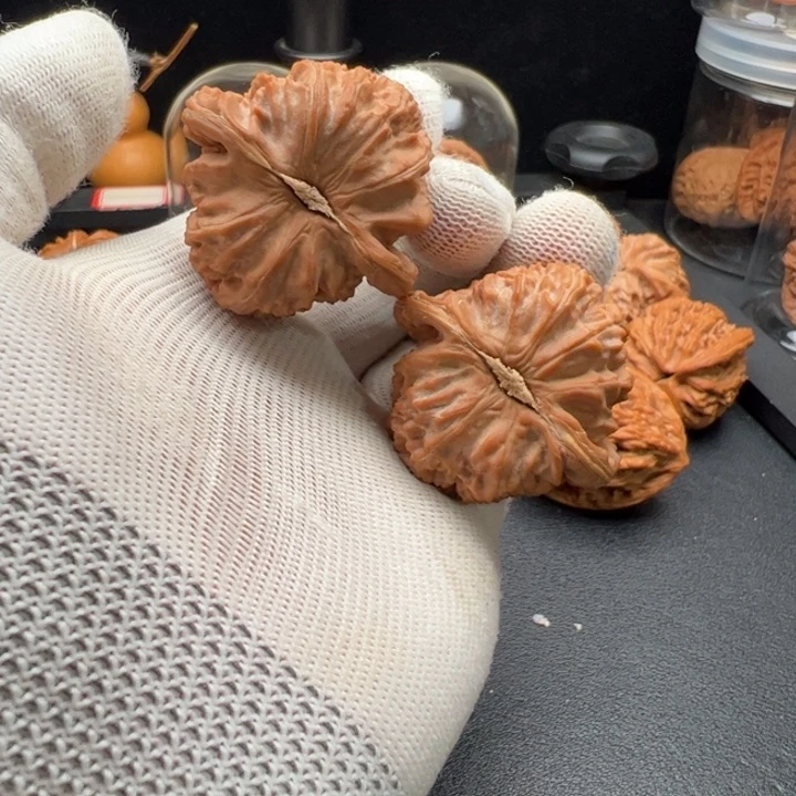 把件文玩核桃橘***喵43白狮子