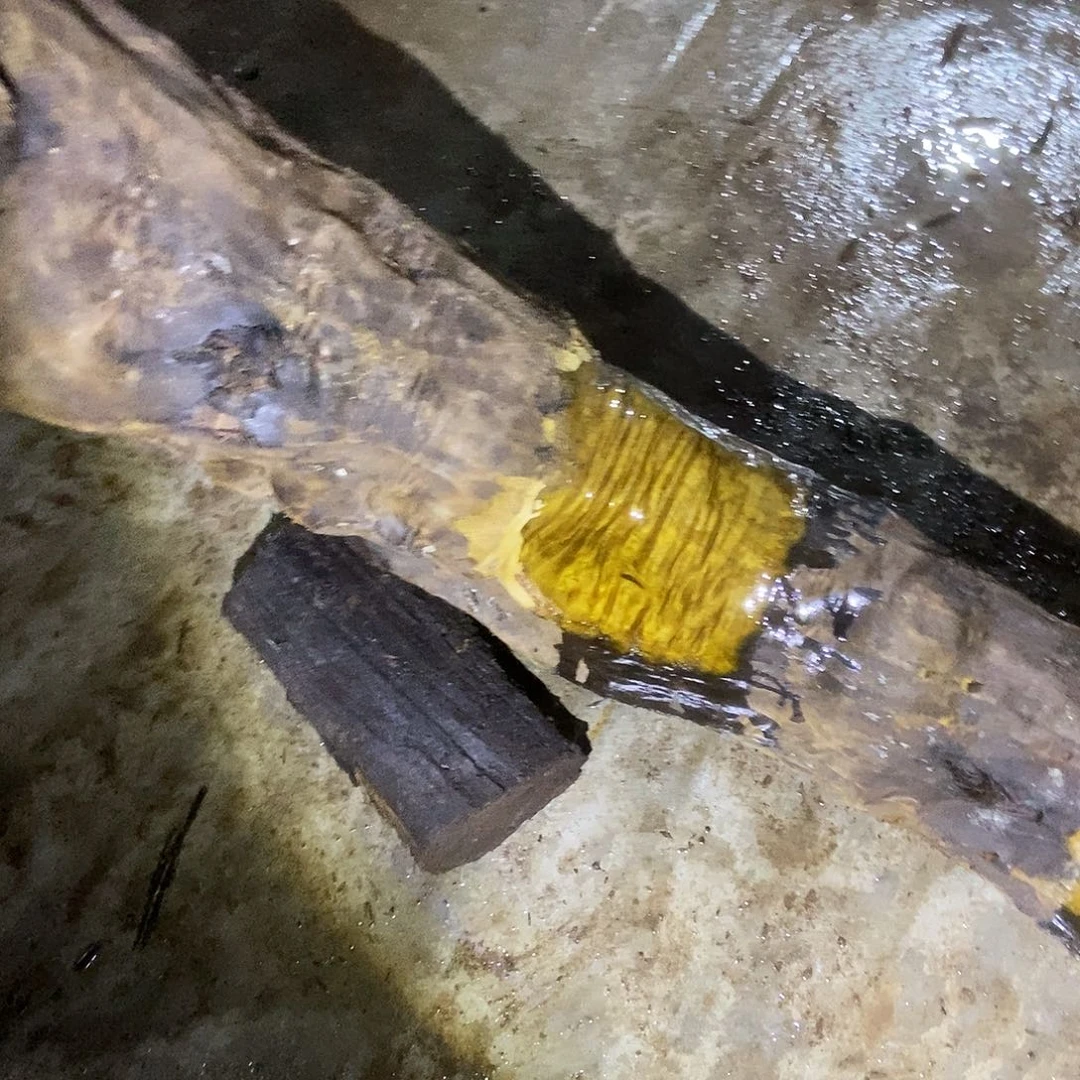 说*话金丝楠阴沉木毛料