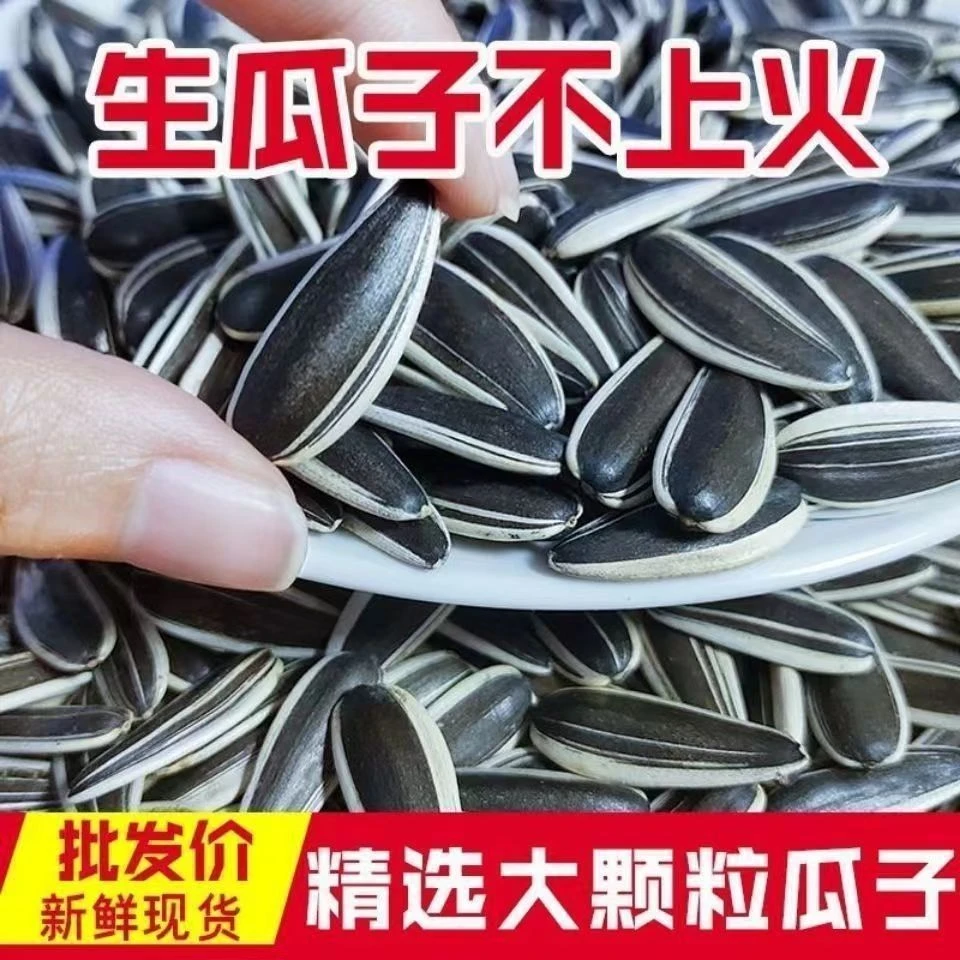 [生瓜子]内蒙古蒙葵363新鲜大颗粒葵花籽皮薄酥脆休闲炒货零食