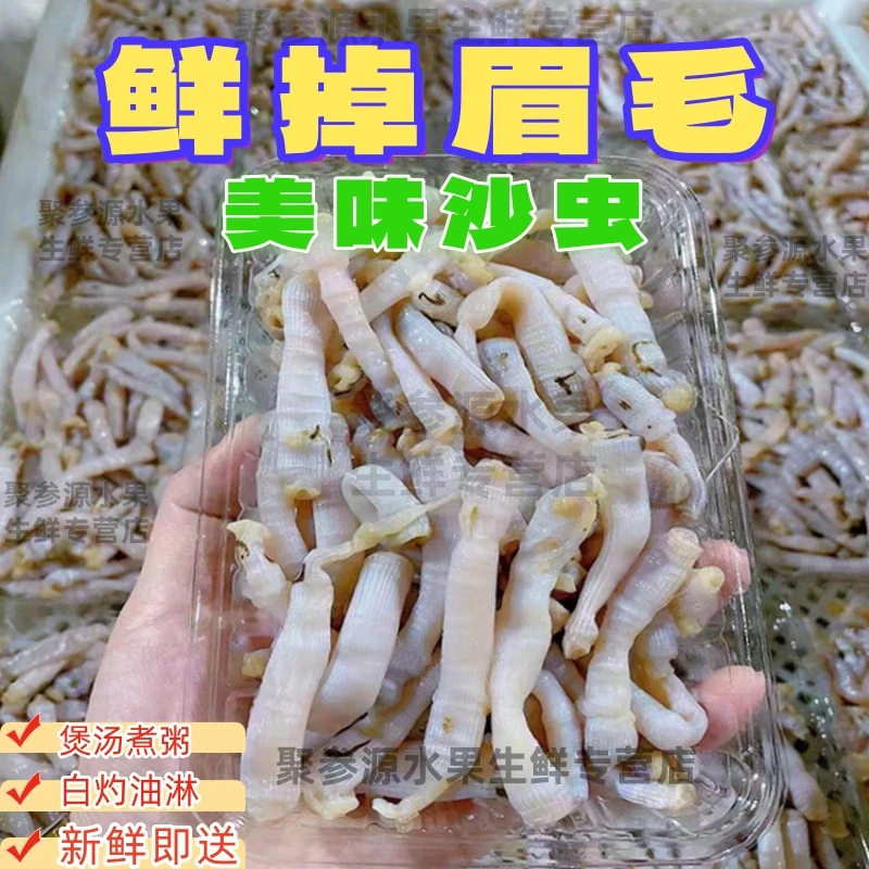 当季沙虫海鲜水产沿海滩涂现挖日常清蒸白灼炒煲汤美味小吃非干货