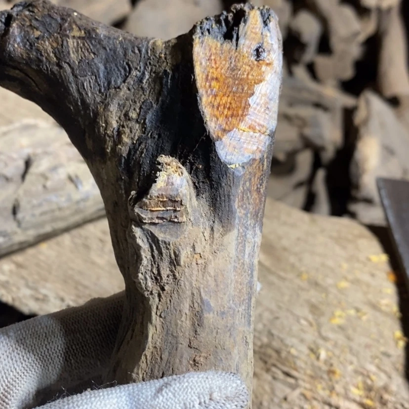 【闪购商品】手串贡木难****3私人订制