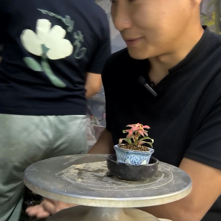 .****?中青园艺一物一拍95