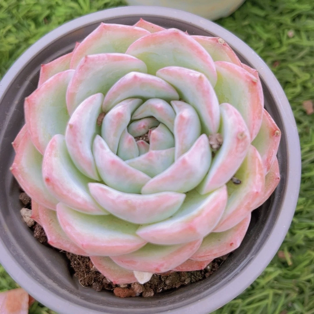 22号988878888888889